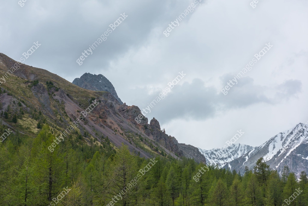 Scenic landscape with coniferous forest among high sharp rocks against ...