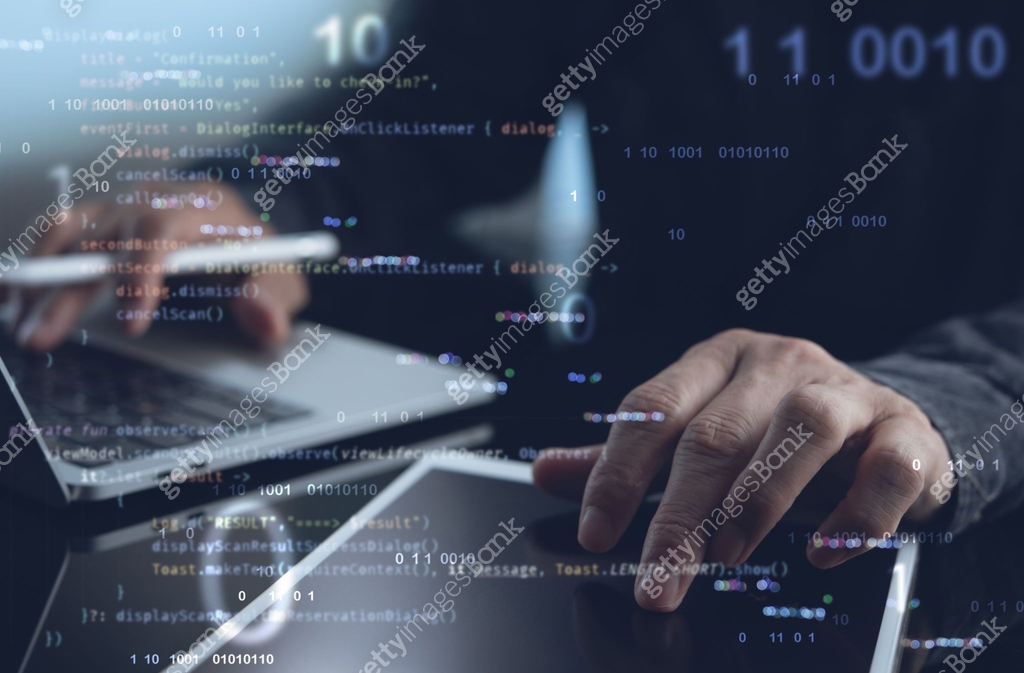 Professional software engineer, developer programmer programming in ...
