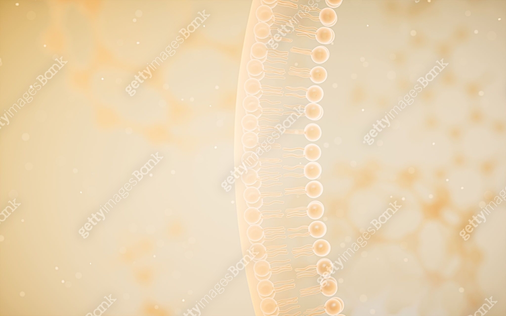 Cell Wall Computer Rendered Cell membrane with yellow background, 3d rendering. 이미지 (1398014654 ...