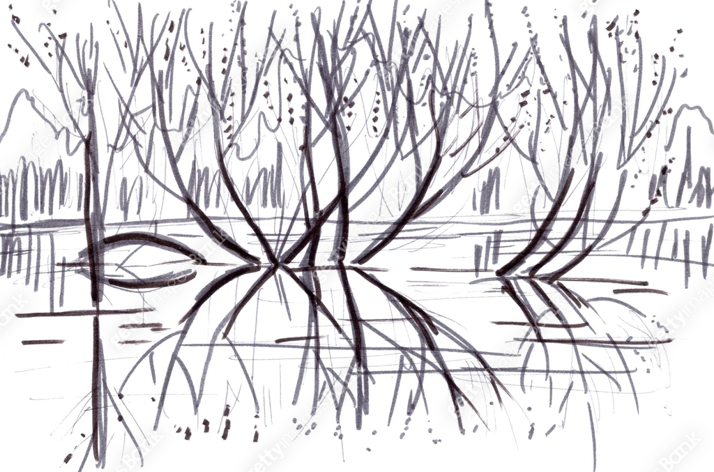 Spring Tree Sad Drawing spring trees and bushes, reflections in the water, graphic drawing. 이미지 ...