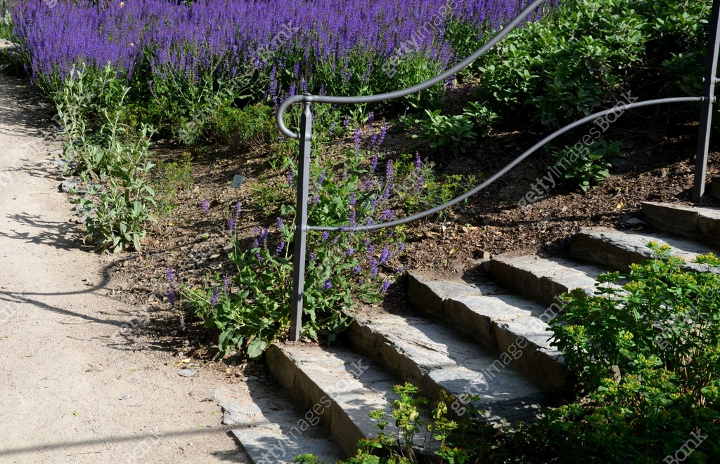 Forged railing made of black solid metal is the work of a skilled ...