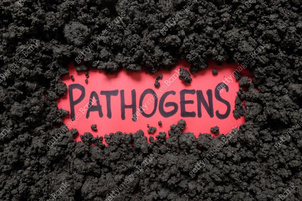 Pathogen Root Word Soil-borne disease pathogen concept. Written word on a piece of paper ...