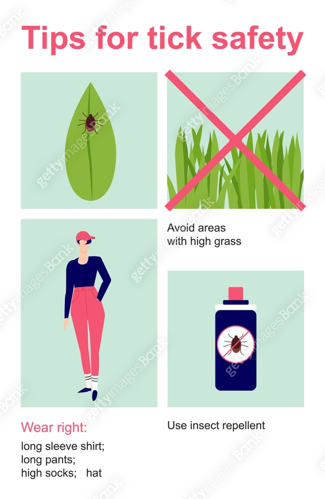 Spring Insect Safety Infograph Tips for tick safety infographic. How to protect skin from insect ...