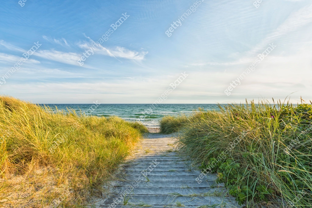 Baltic Tea Path Wooden path to the Baltic Sea beach near Ristinge, Langeland, Denmark ...