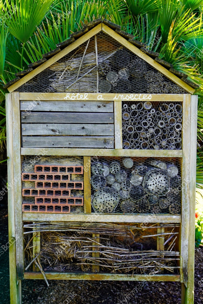 Insect Bank insect hotel french text in wooden hut for butterfly bee and animals ...