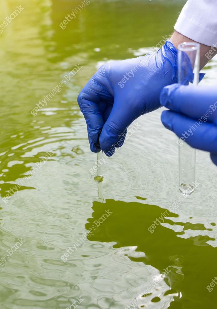 Water sample. Treatment facilities. Quality control of water that has ...