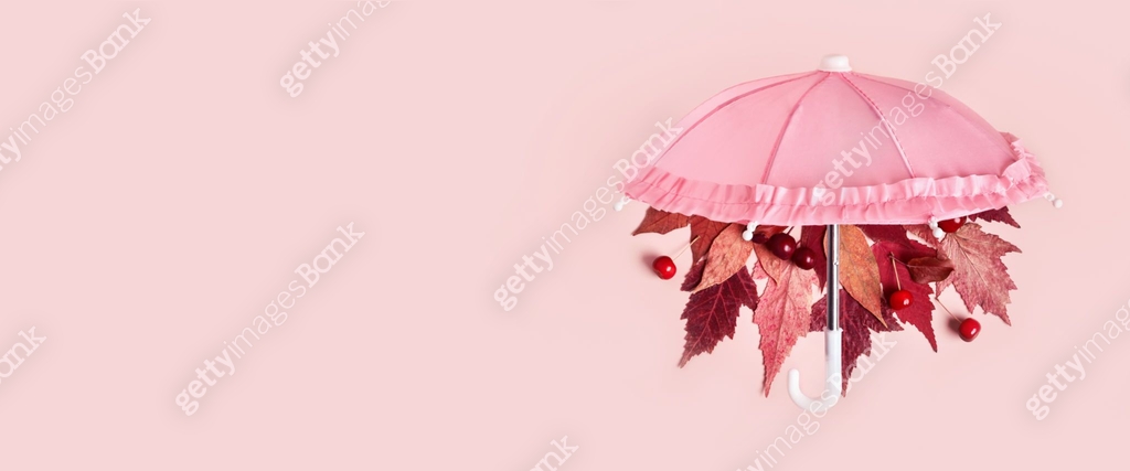 Fall Header Image Pink Autumn leaves fall from pink umbrella on pink pastel banner. Hello ...
