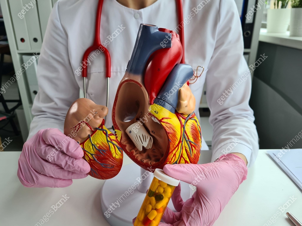 Heart Doc Doctor cardiologist with red heart in hospital 이미지 (1415392849) - 게티이미지뱅크