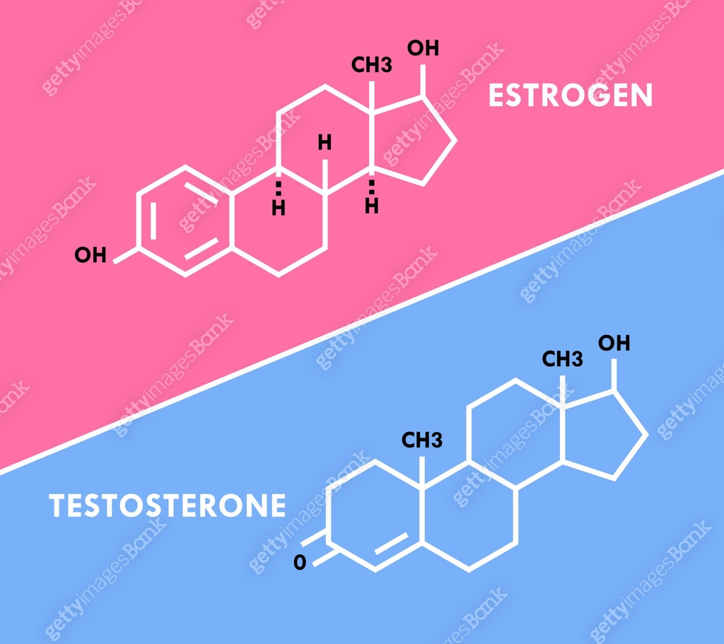 Estrogen and testosterone hormones symbol. Sex hormones molecular ...