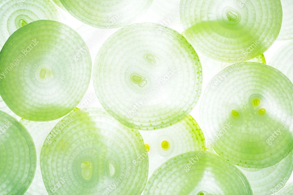 Macro Onion Texture Colorful Green And Yellow Leek Slices Onion Macro macro-onion-texture-colorful-green-and-yellow-leek-slices-onion-macro