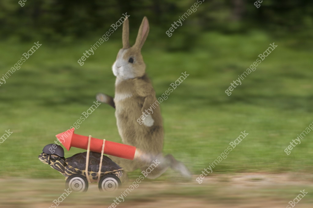 Turtle rabbit race - Turtle winning 이미지 (1457954599) - 게티이미지뱅크