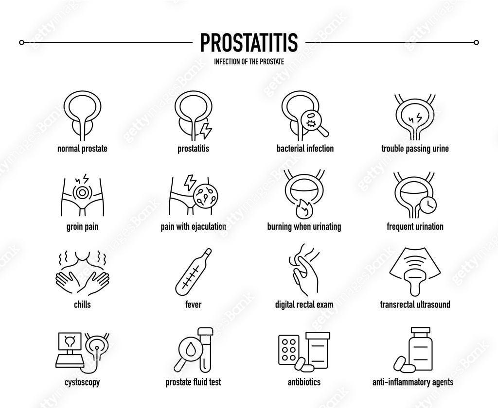 Prostatitis vector icon set. Line editable medical icons. 이미지 ...