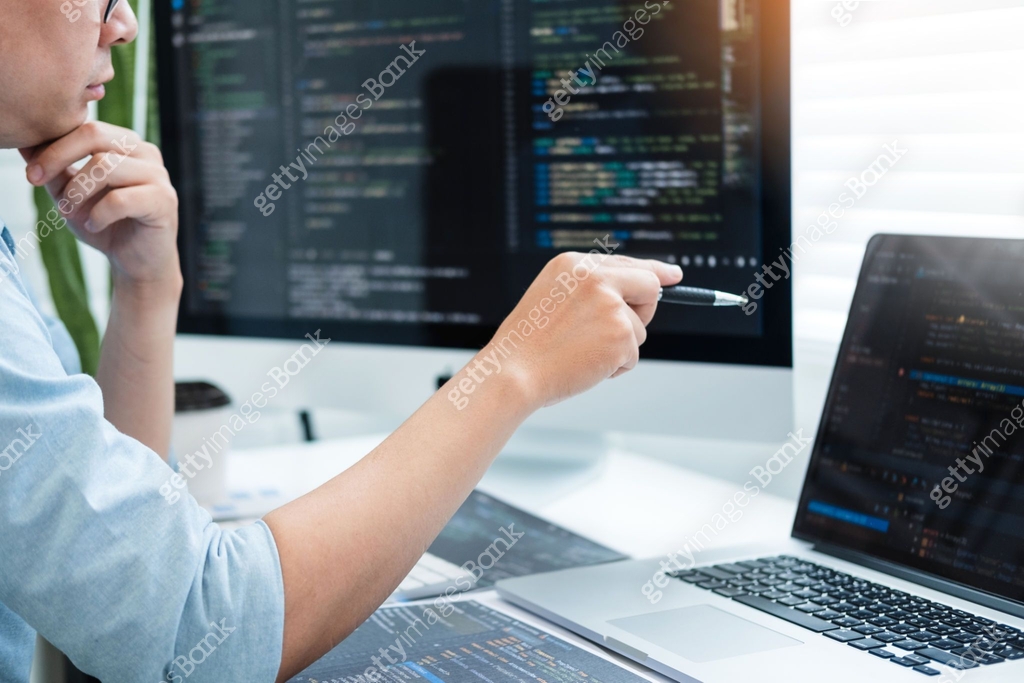 Developing programmer Development Website design and coding ...