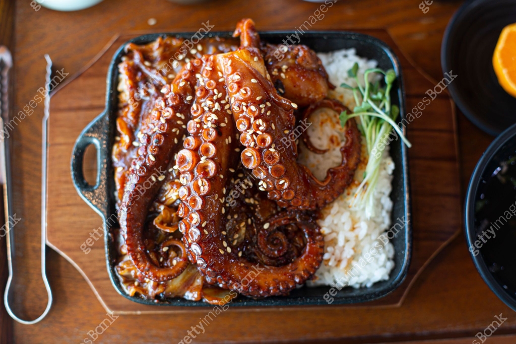 Octopus Rice Bowl with spicy sauce 이미지 (1475866920) - 게티이미지뱅크