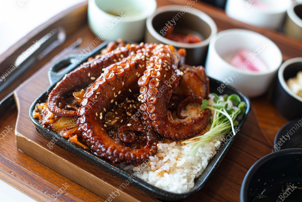 Octopus Rice Bowl with spicy sauce 이미지 (1475866921) - 게티이미지뱅크