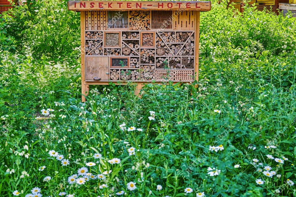 Insect Bank Insect hotel that offers a retreat for many species. 이미지 (1480351434 ...