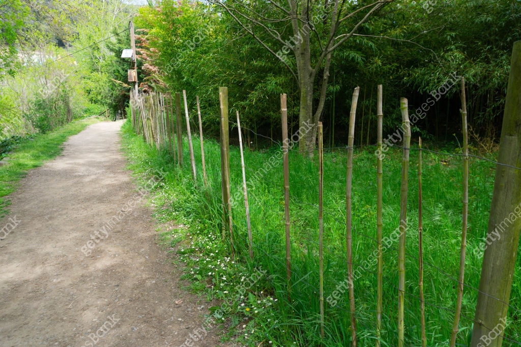 Timber Slat Path Dirt path with metal fence and wooden slats 이미지 (1484671338) - 게티이미지뱅크