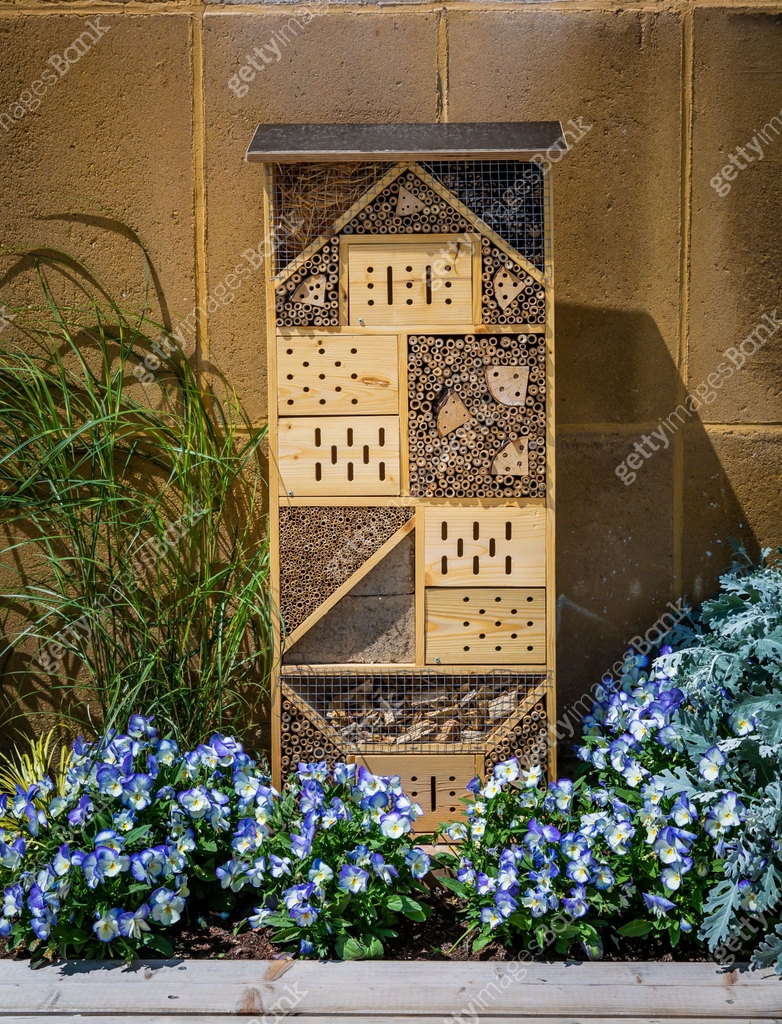 Insect Bank Insect hotel made, bug house made from different materials to offer ...