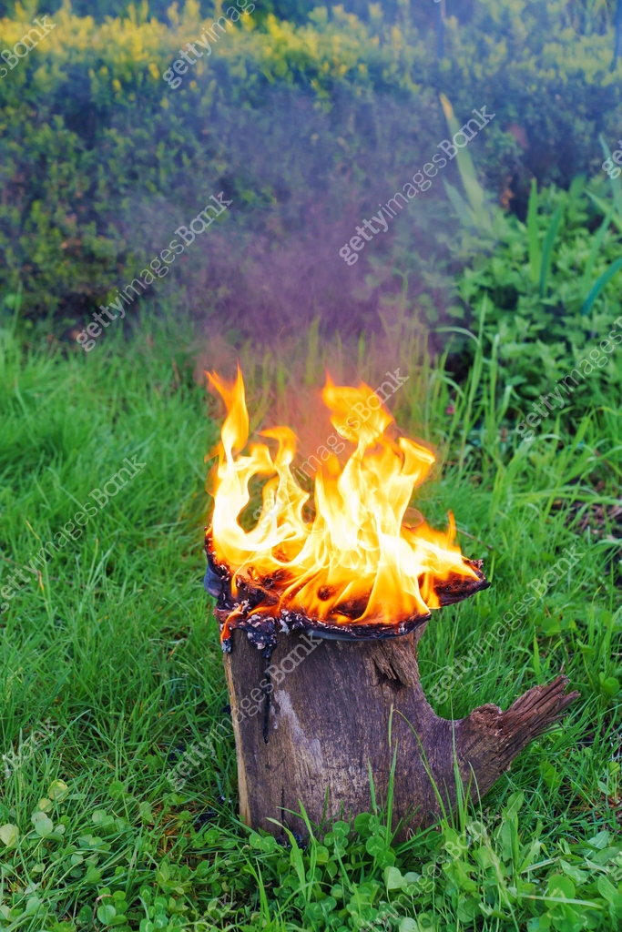 burning an object on a stump in a meadow. 이미지 (1501568444) - 게티이미지뱅크