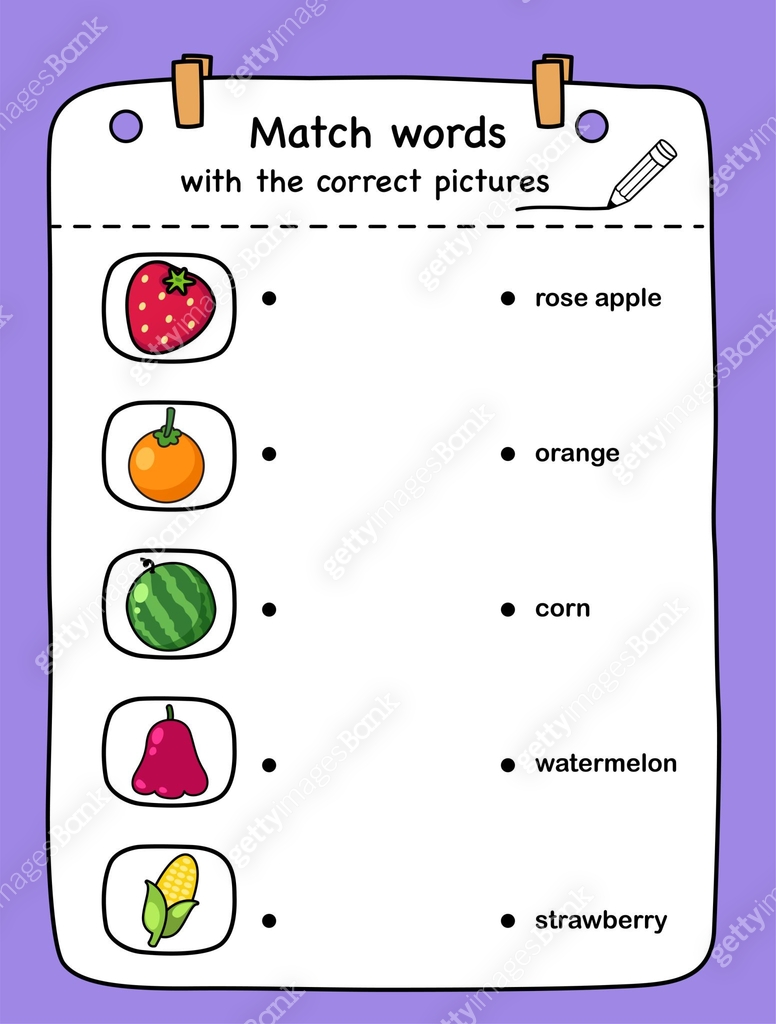 Match words with the correct pictures illustration, vector 이미지 ...