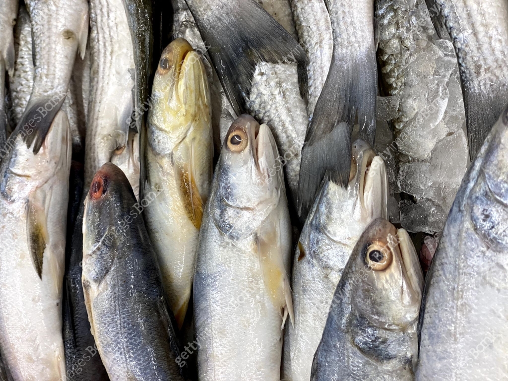 a photography of a bunch of fish that are sitting on a table, there are ...