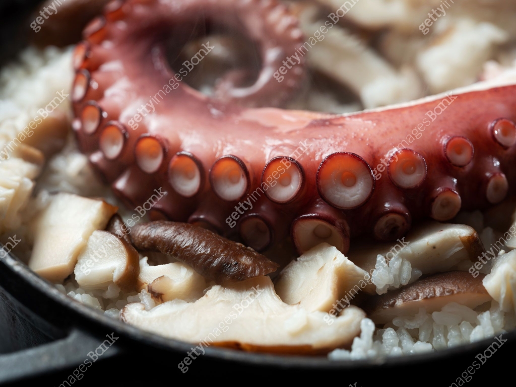 Octopus Rice Bowl with Mushrooms 이미지 (1522431918) - 게티이미지뱅크