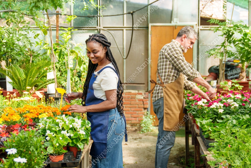 Botanical Key Worker Colorful Collaboration: Senior Caucasian male and cheerful African ...