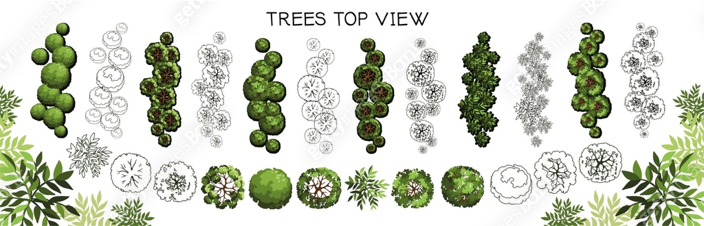 Group of trees for architectural floor plans. Entourage design. Various ...