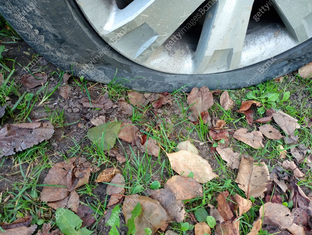 A flat car tire on the street near fallen leaves on the grass. 이미지 ...