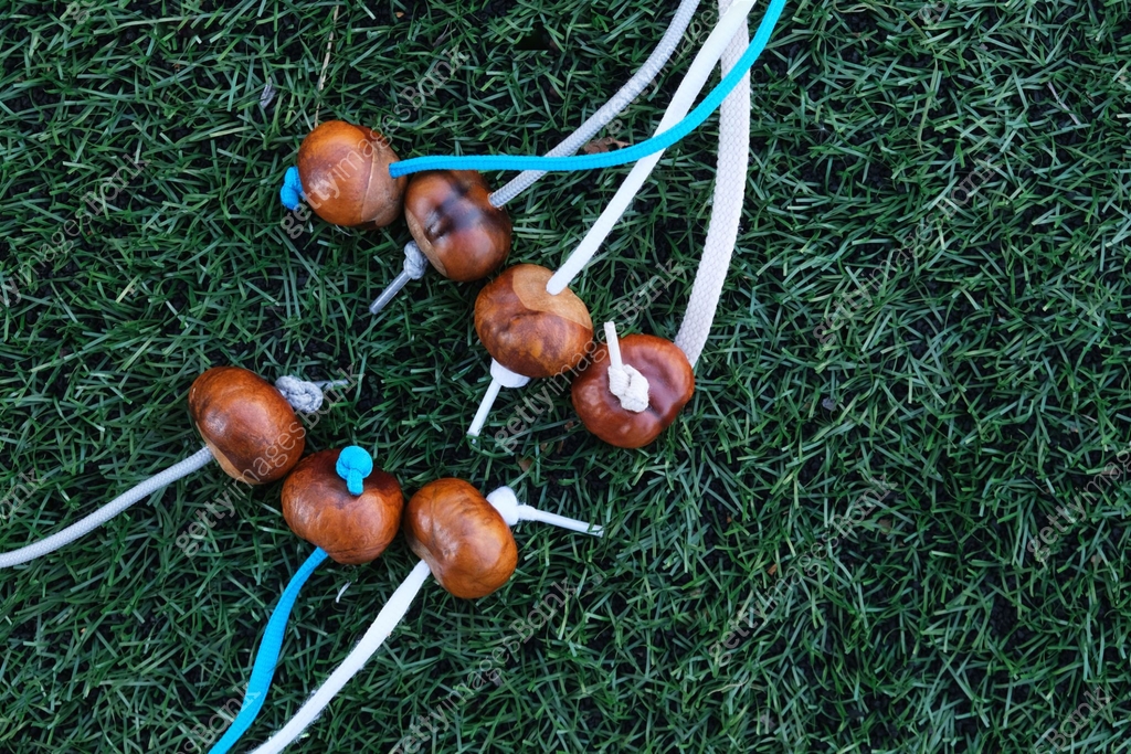 Conkers game. Conker threaded onto a piece of string on green ...