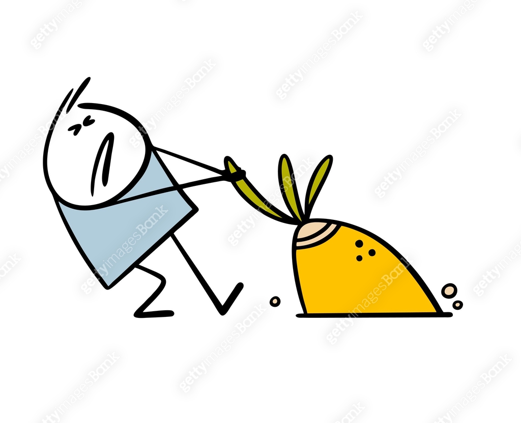 Funny stickman straining and trying to pull root crop out of the ground ...