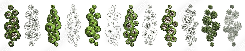 Group of trees for architectural floor plans. Entourage design. Various ...