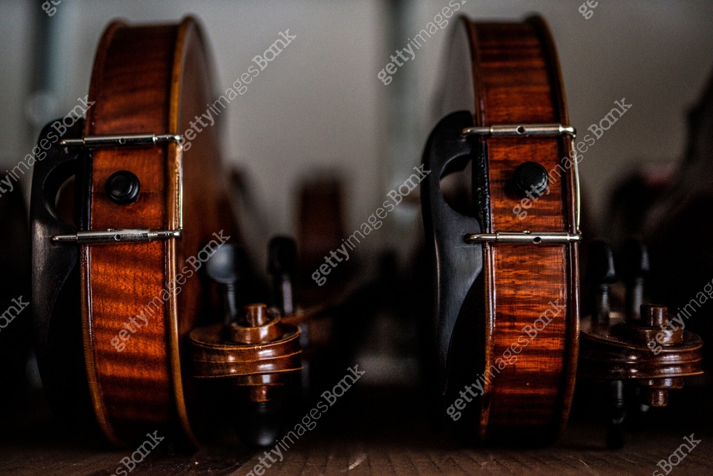 two violin strings are arranged next to each other on a wooden table ...