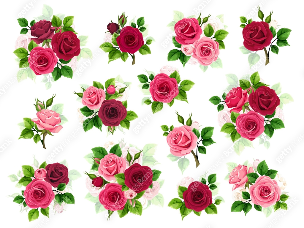 Red and pink roses. Set of vector design elements 이미지 (2045519166) 일러스트 ...