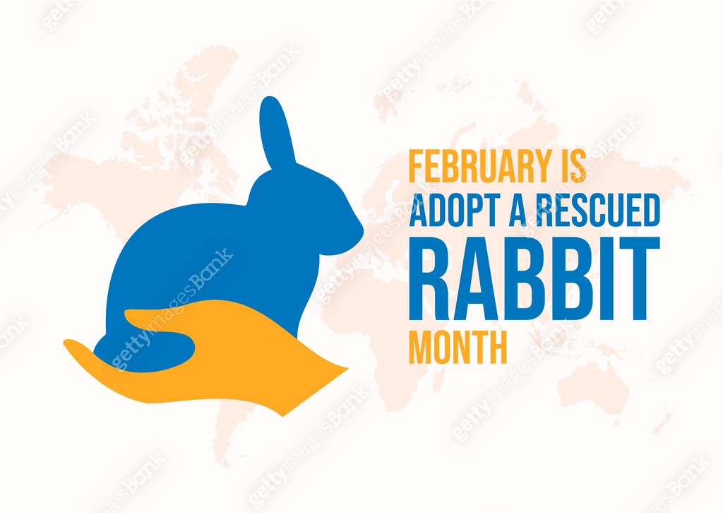 February is Adopt a Rescued Rabbit Month poster vector illustration 이미지 ...
