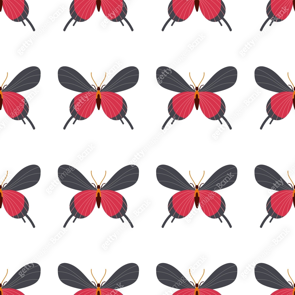 Beautiful Butterfly seamless pattern. Insect with red and gray wings ...