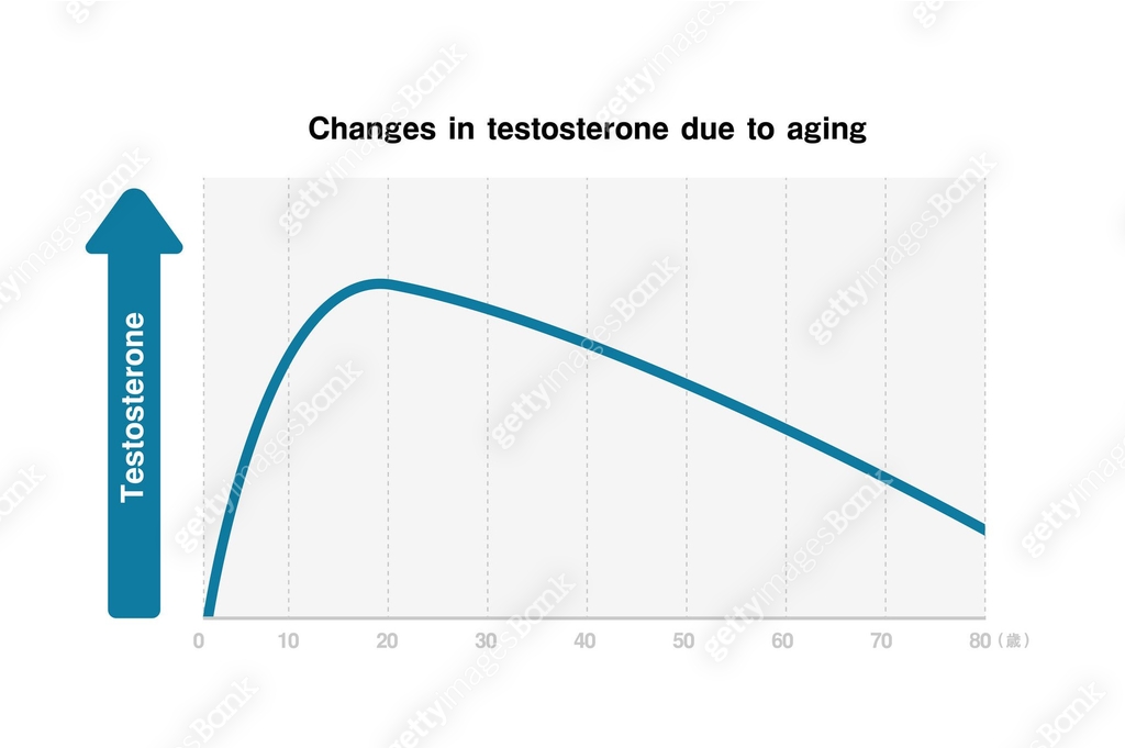 Graph of changes in male hormone (testosterone) due to aging 이미지 ...