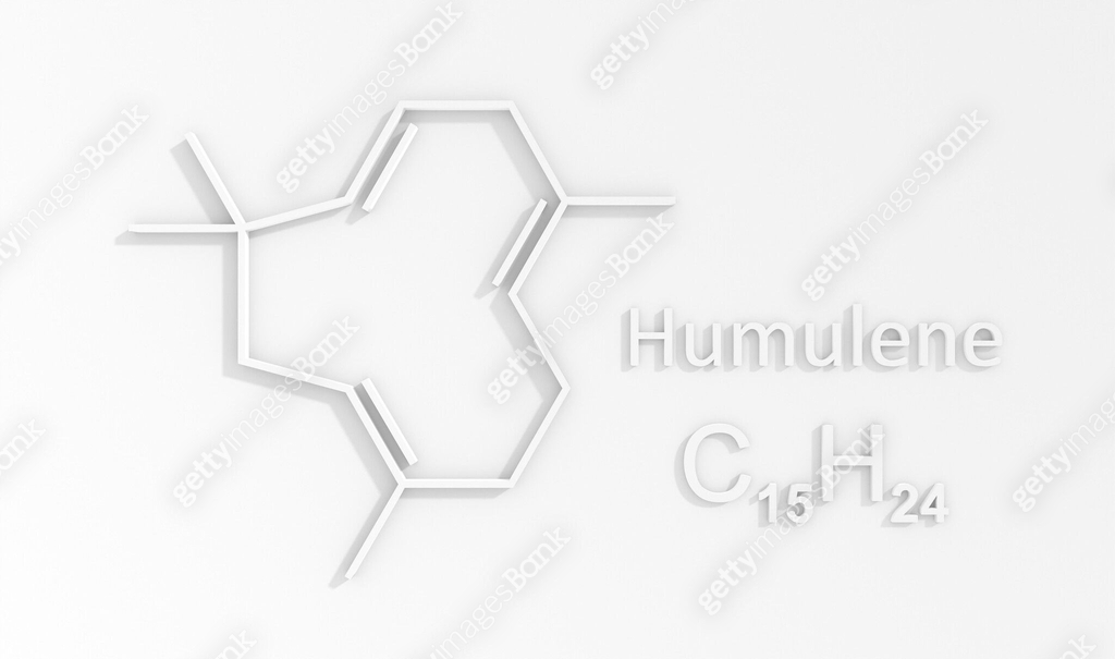 Humulene, alpha-humulene or alpha-caryophyllene molecule. It is ...