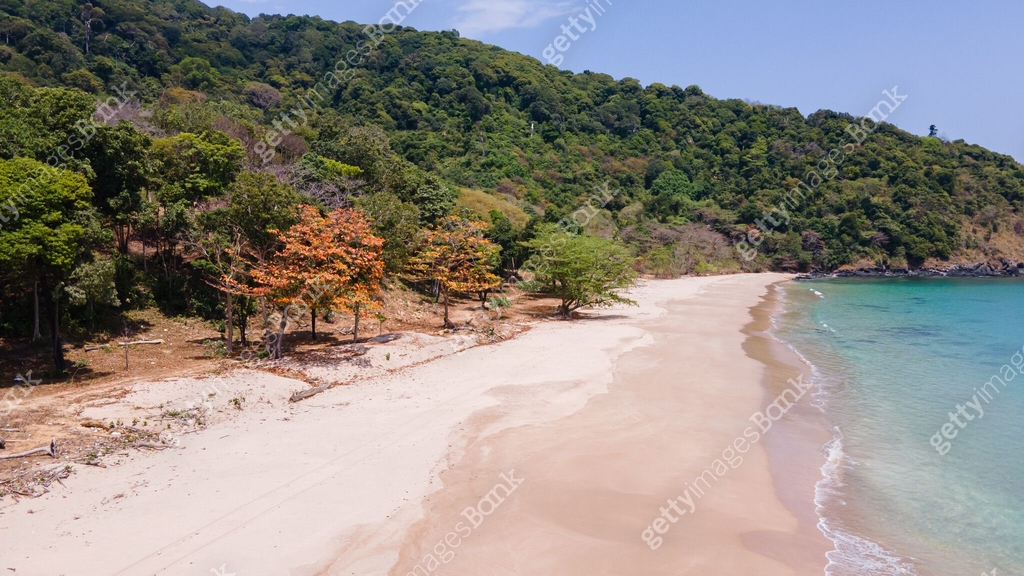 Beautiful Beach View Of Koh Lanta With Yellow Trees In The Dry Season Beautiful Beach View Of Koh Lanta With Yellow Trees In The Dry Season