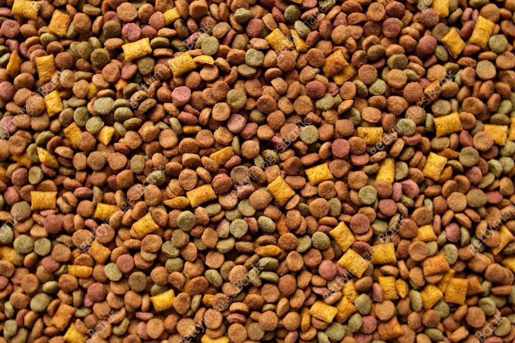 Pet Fodder Pet Food Texture. Lot of Dry Granules of Crunchy Dog or Cat Food ...