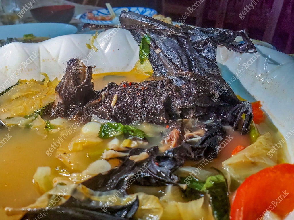 Fruit bat soup Traditional soup in Palau 이미지 (2148564330) - 게티이미지뱅크