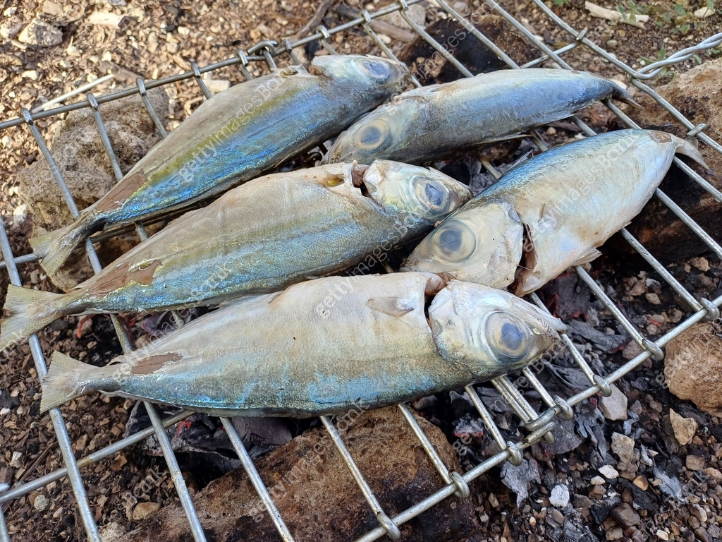 Group of mackerel fish getting grilled on a hot barbecue. Fresh catch ...