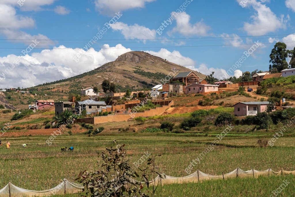 Madagascar Cities Rural Rural landscape, rice fields at Andasibe, Madagascar 이미지 (2154354168 ...
