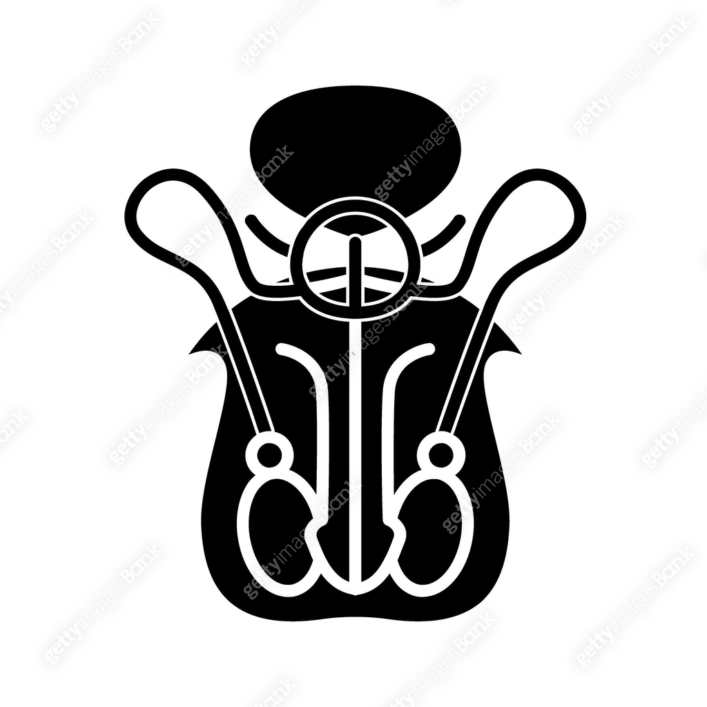 Male reproductive system set icon. Testicles, prostate gland, seminal ...