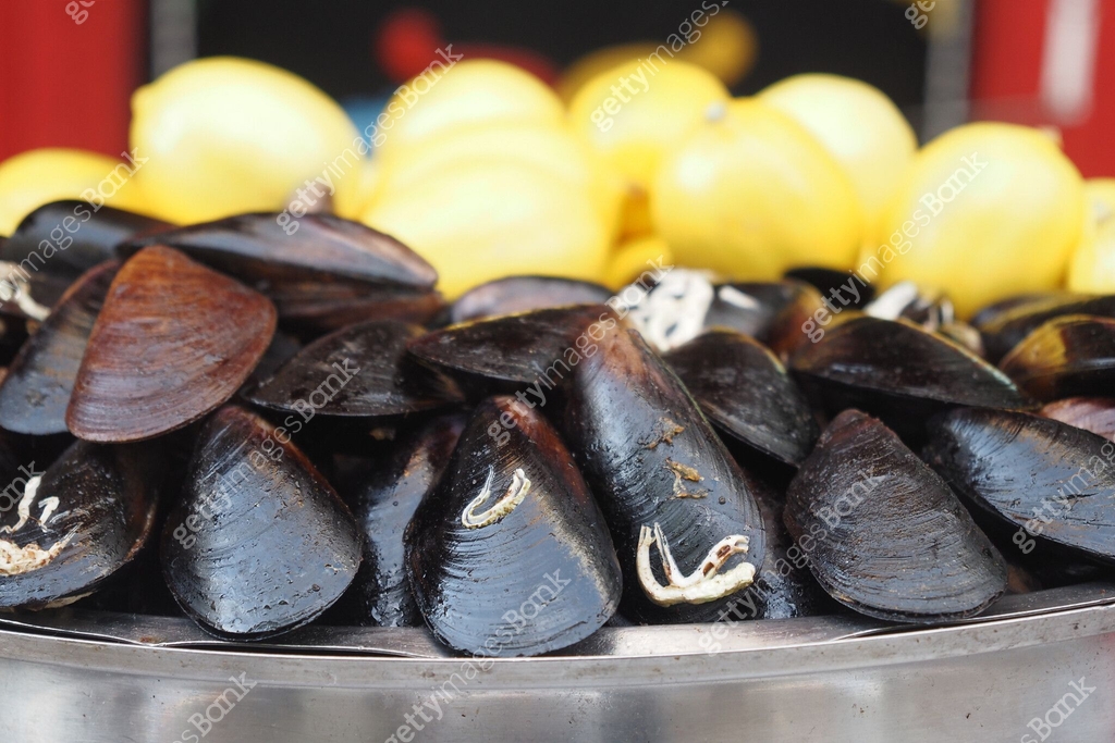 Fresh Black Shell Recipe With Lemon Turkish Food 이미지 (2156355618) - 게티이미지뱅크