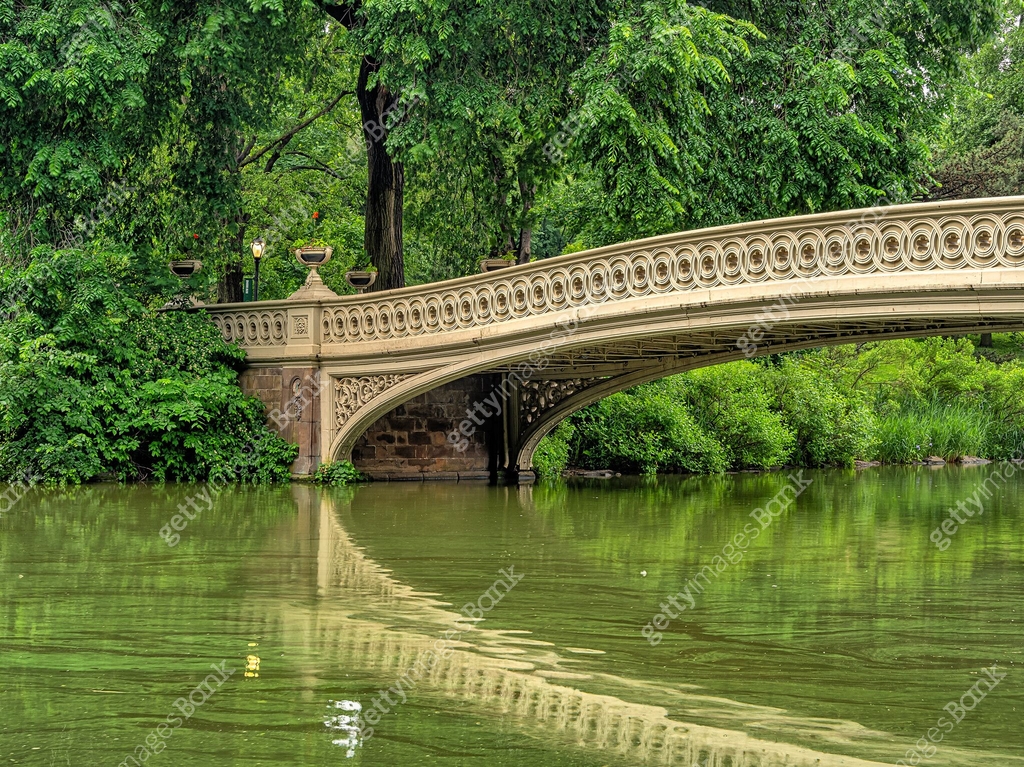 Bow Bridge Ridgebacks Bow bridge, early morning after light rain 이미지 (2159392124) - 게티이미지뱅크