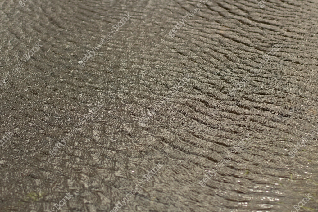 Water in spring. Waves on surface. Spring puddle. Details of nature ...