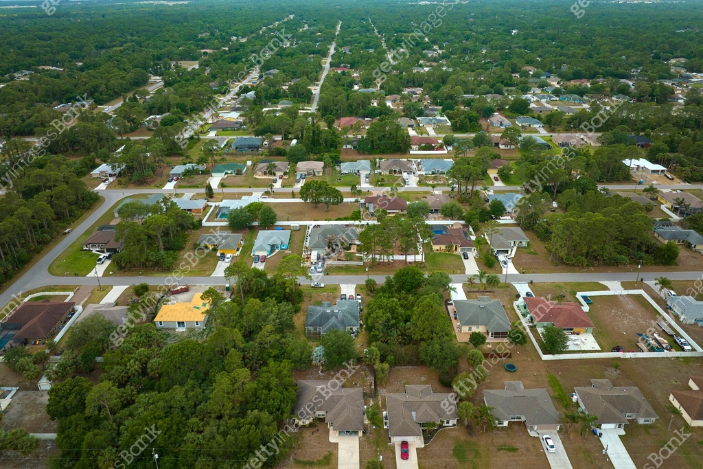 Aerial landscape view of suburban private houses between green palm ...