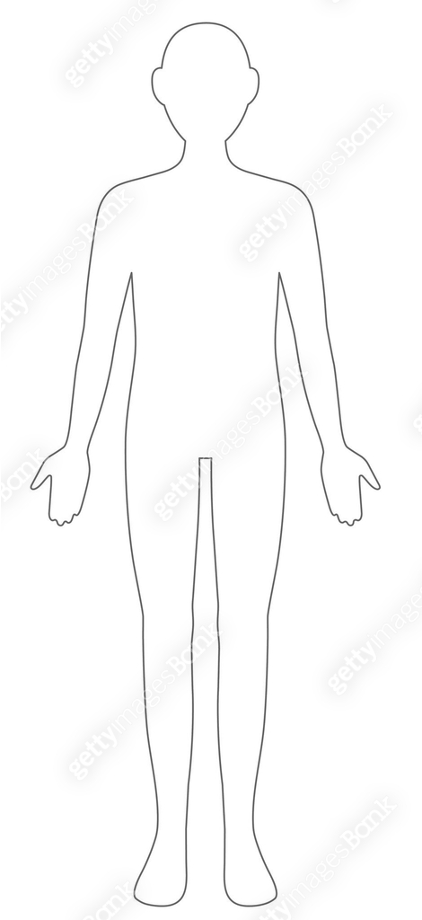 outline gender neutral human body, front view illustration. Black and ...