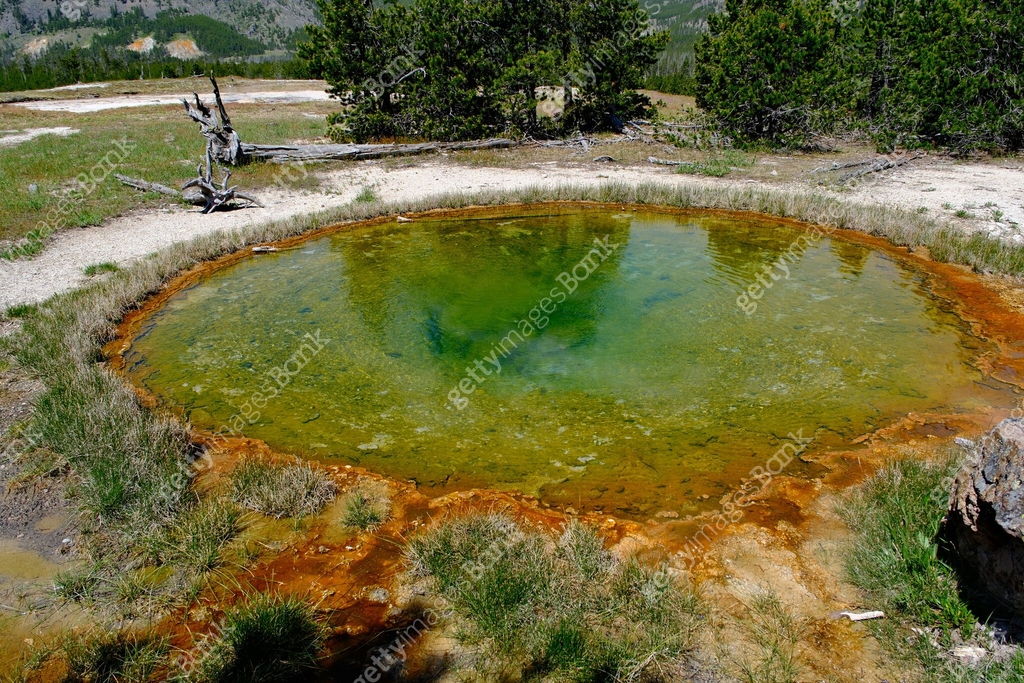 green hot spring thermal pool in Yellowstone National Park, USA 이미지 ...